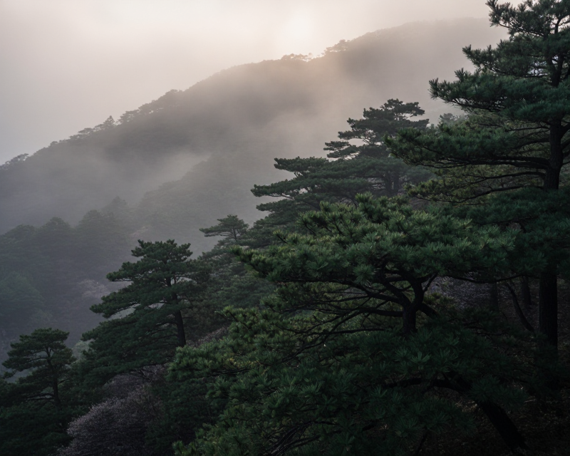 Misty Korean Mountain